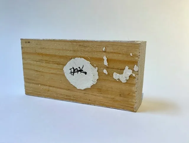 Danco Robert Duportai Garcia, Snapshot, 2020