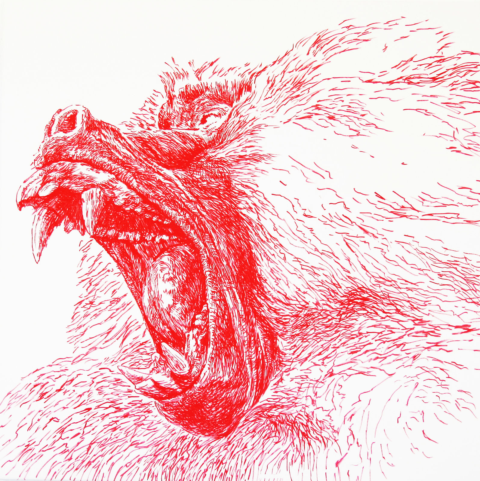 William Pérez, Baboon (Living Nature), 2022