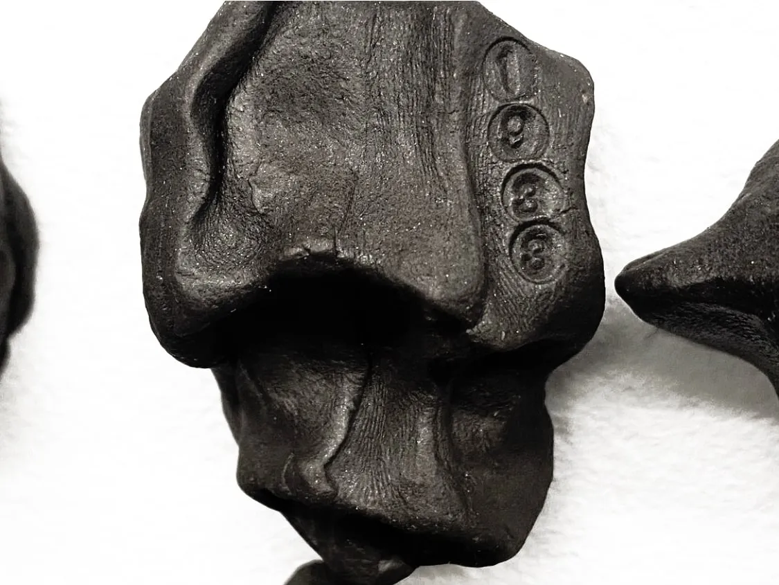 Javier Castro, Negro’s Nose, 2022