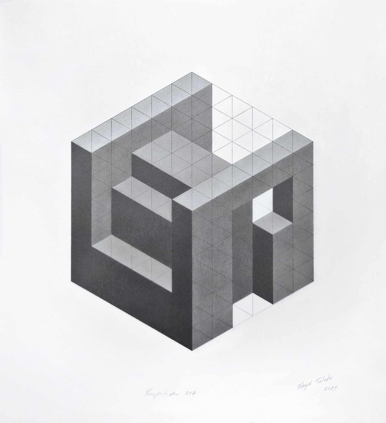 Roger Toledo, Perspectiva 017, 2024