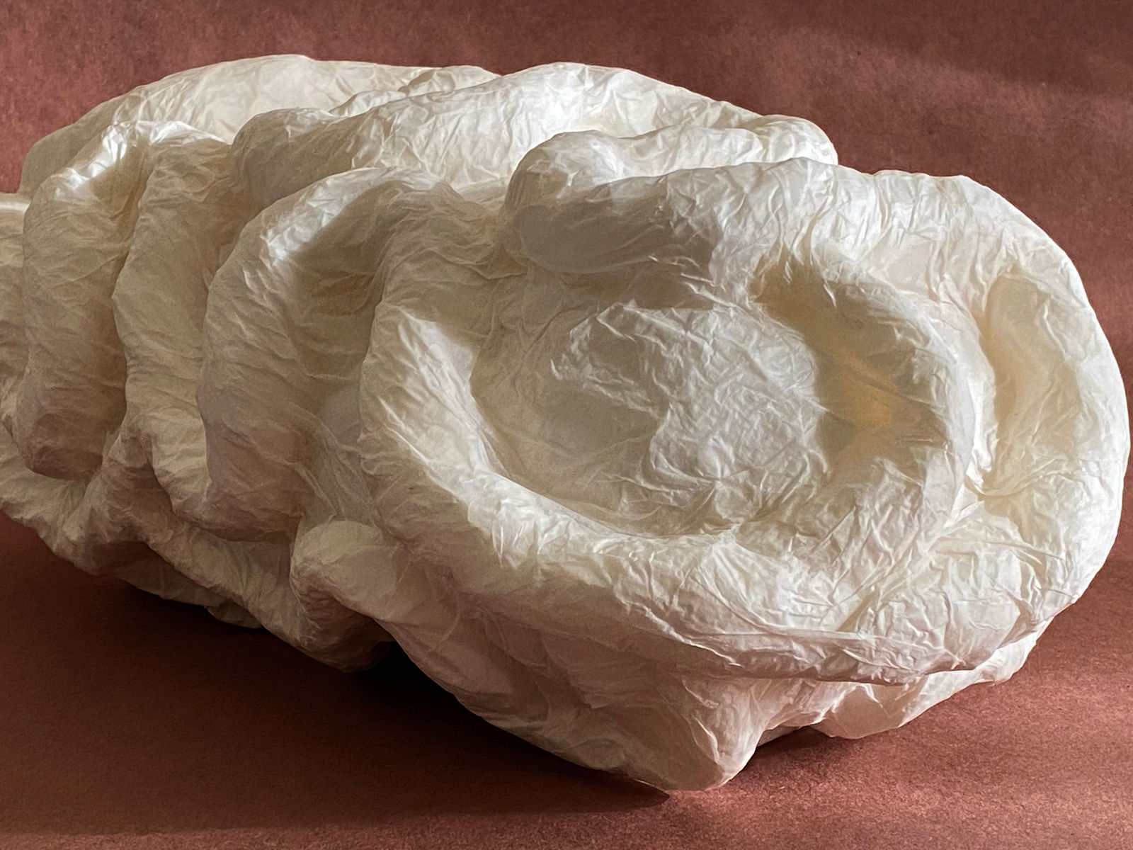 Elsa Mora, BLANK, 2023