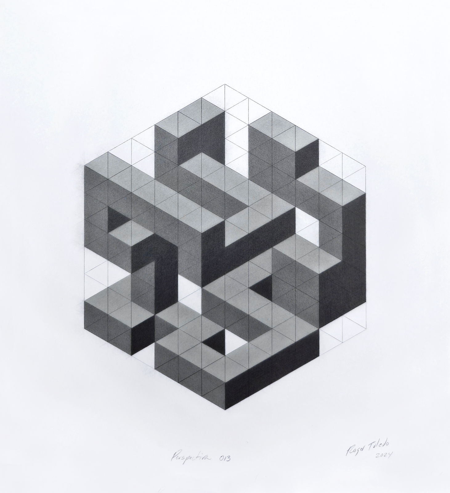 Roger Toledo, Perspectiva 013, 2024