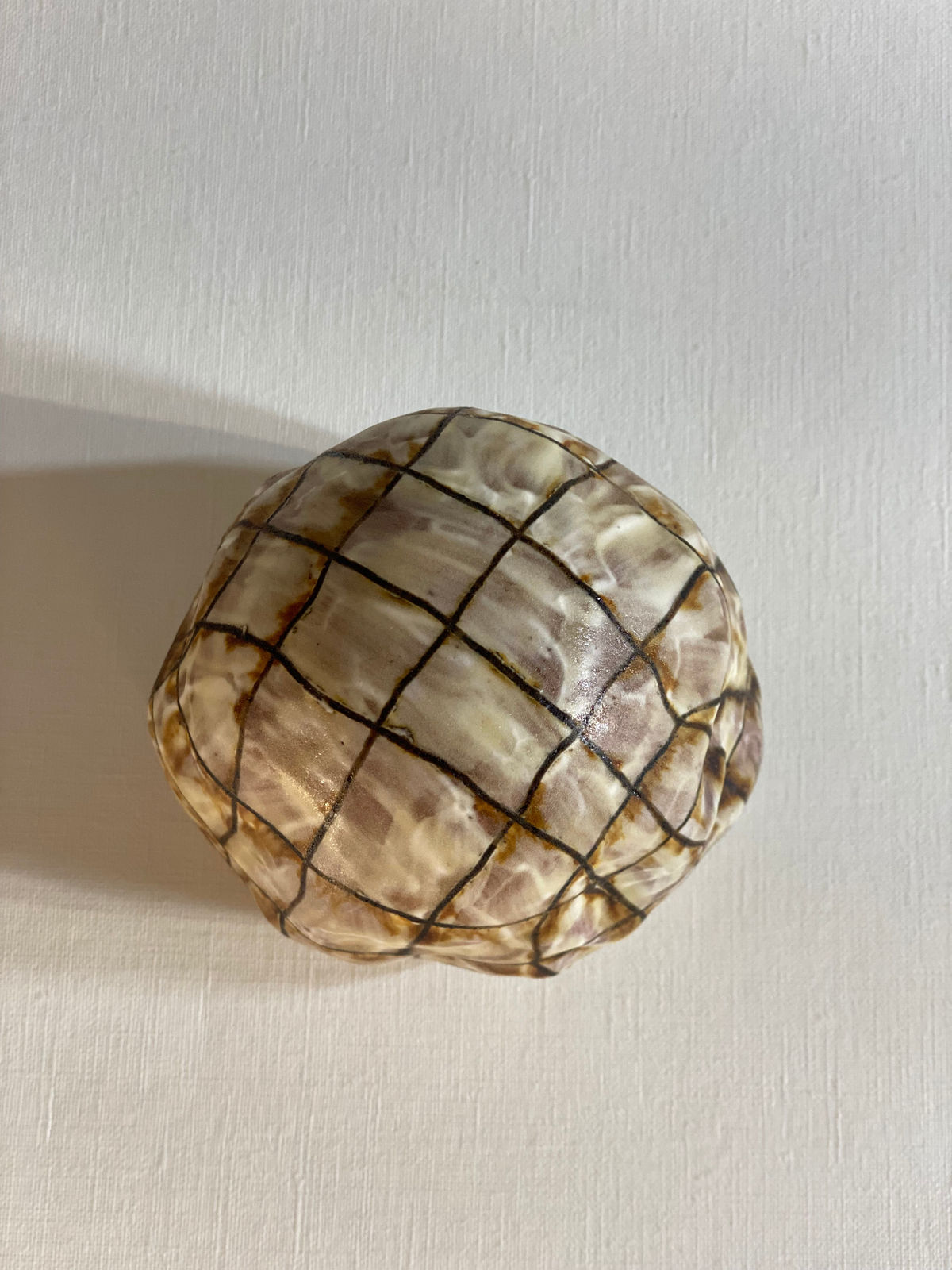 Elsa Mora, BLIND SPOT, 2023