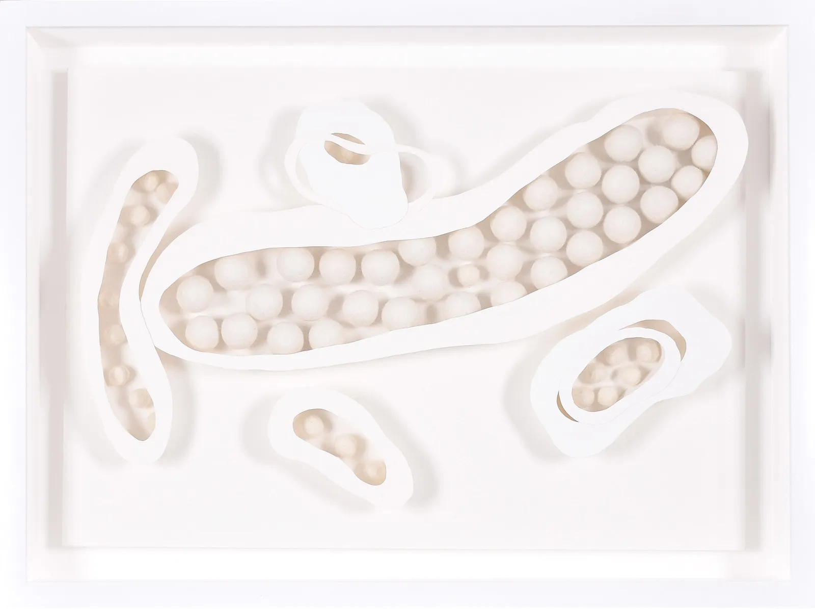 Sandra Cordero, Vagabundus Dreams, No. 12, 2022