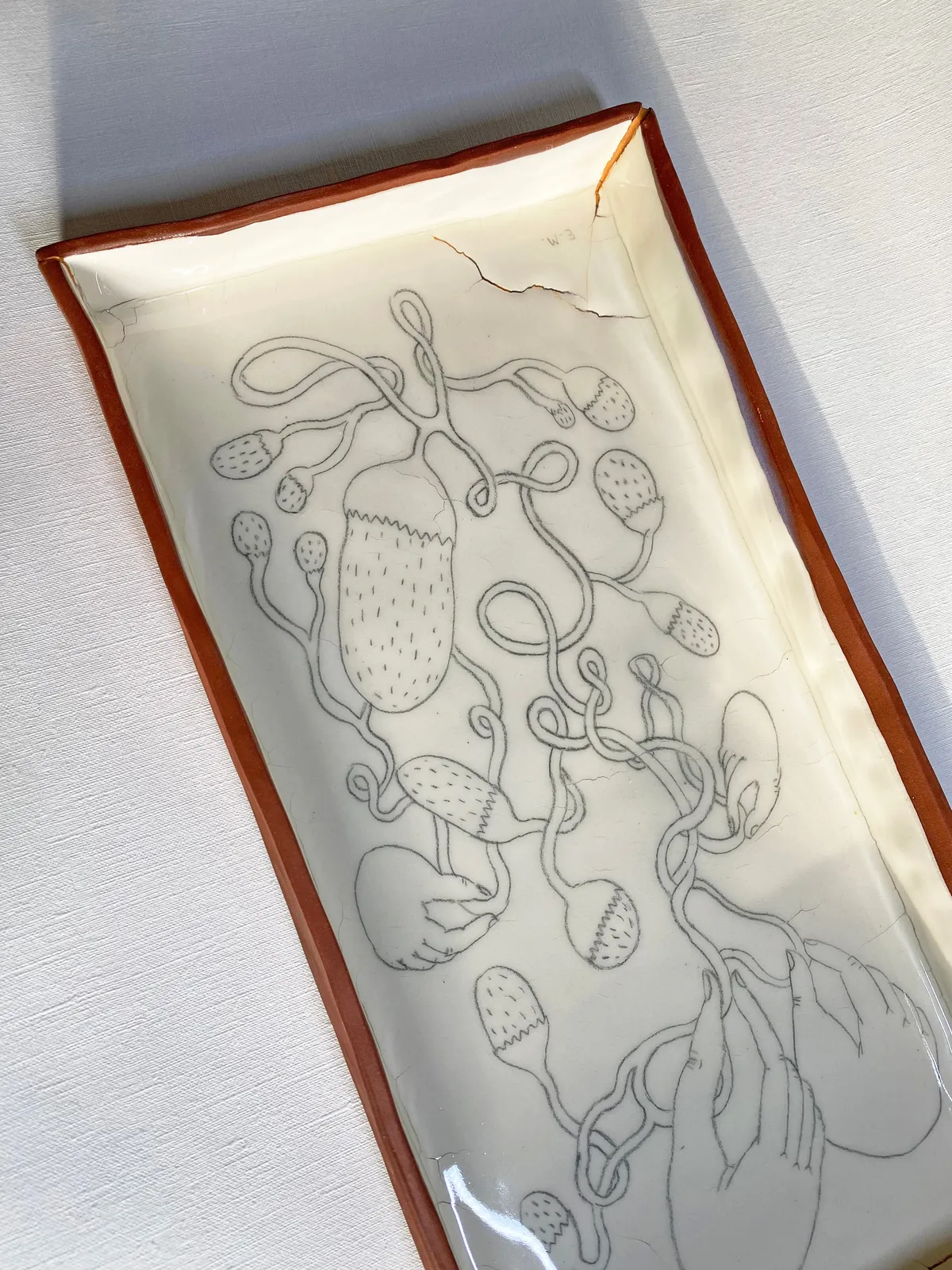 Elsa Mora, END OF THE ROPE, 2023