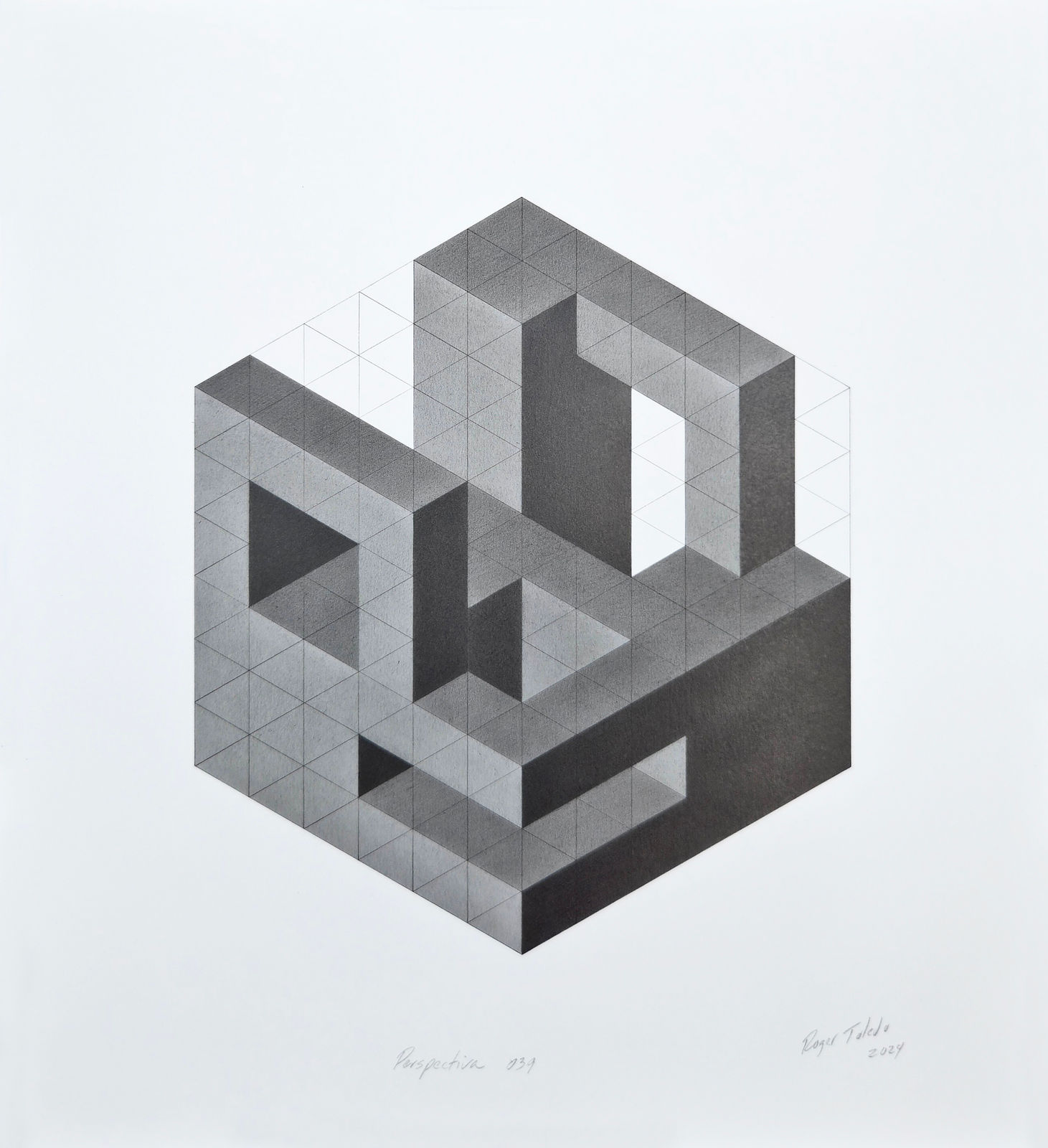 Roger Toledo, Perspectiva 039, 2024