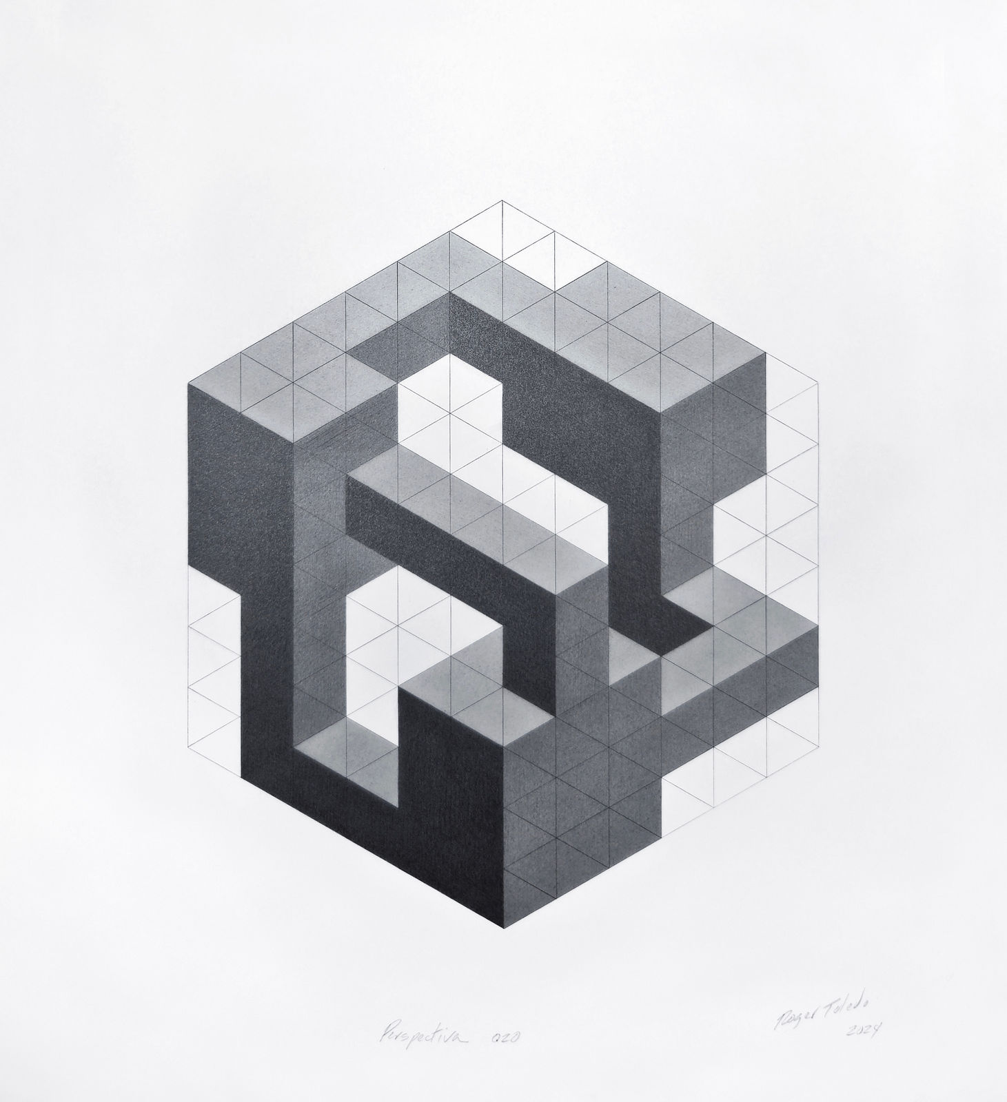 Roger Toledo, Perspectiva 020, 2024