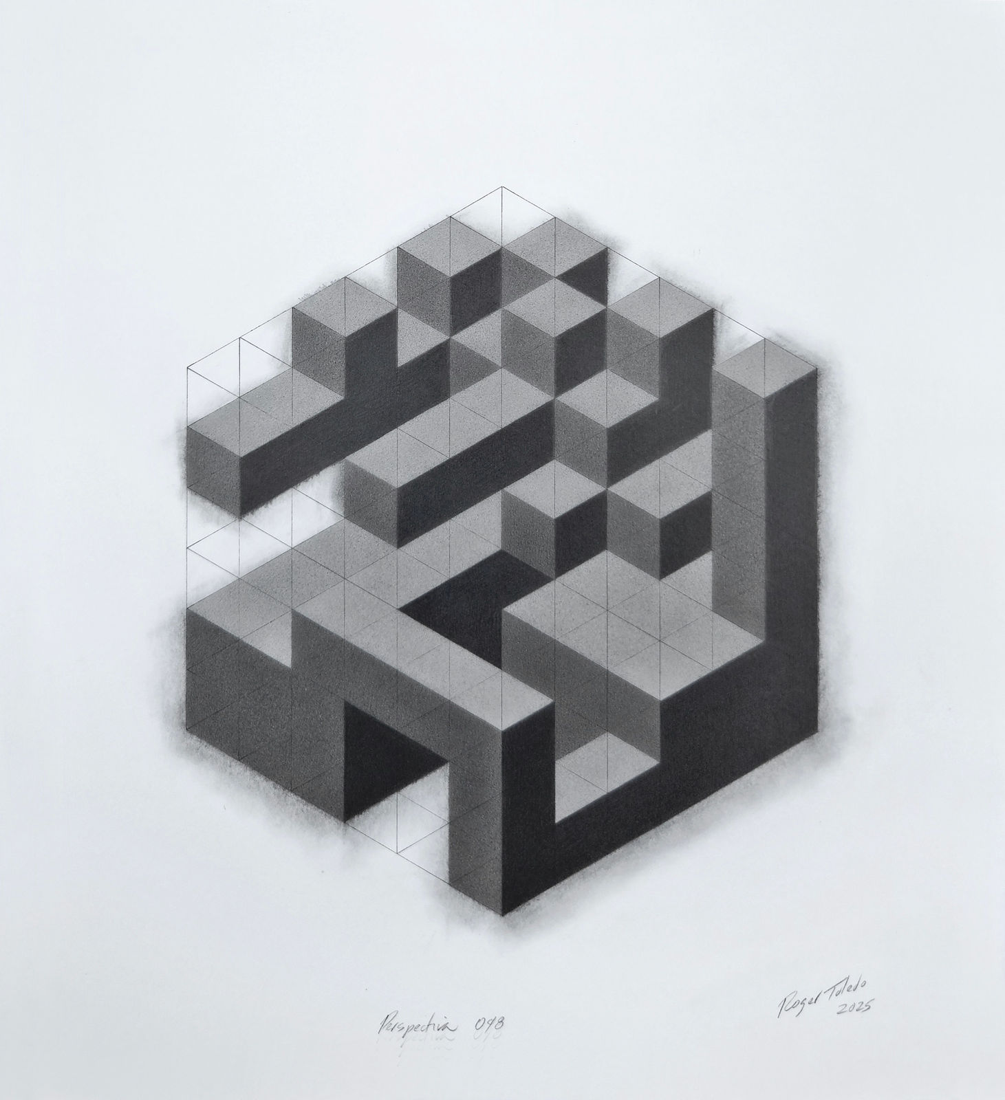 Roger Toledo, Perspectiva 048, 2025