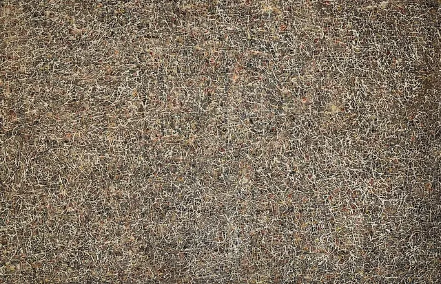 Jesús Lázaro Alfonso Juan, Abstract No. 4, 2018