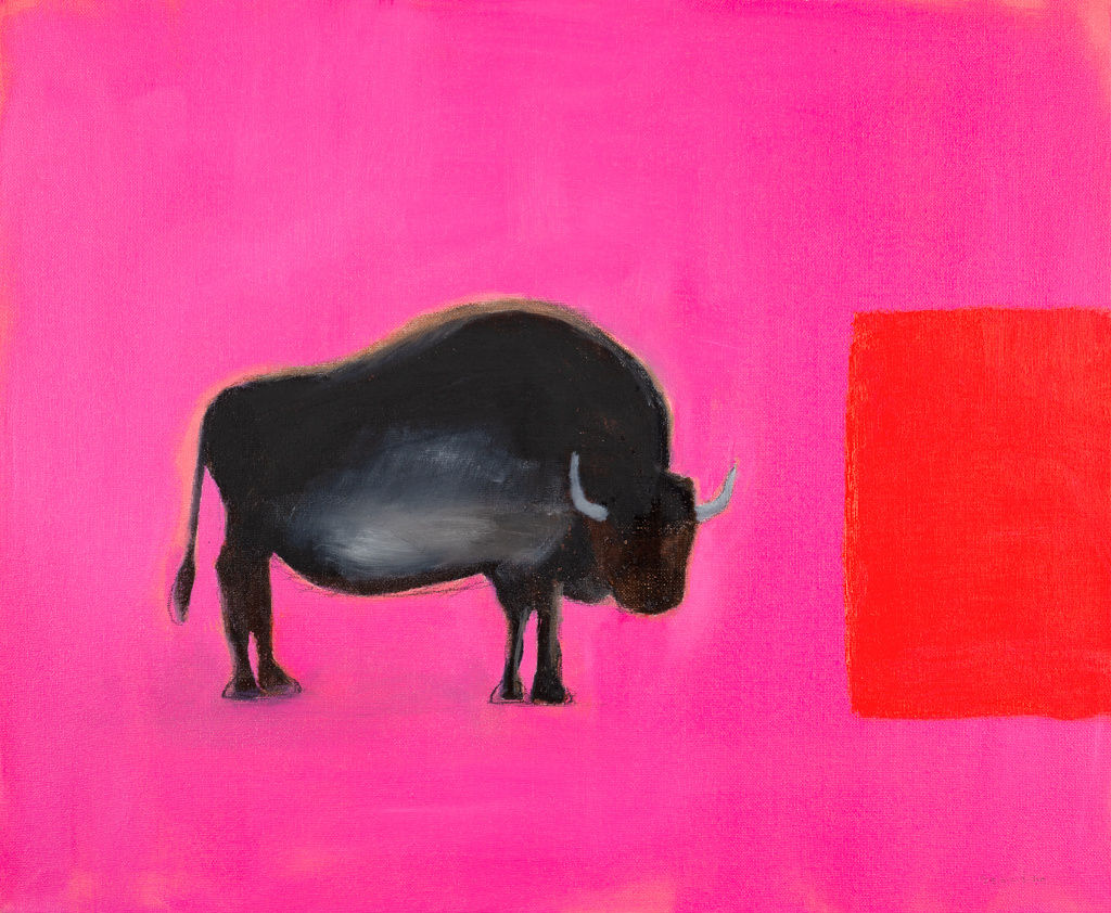 Andrew Squire, Bison