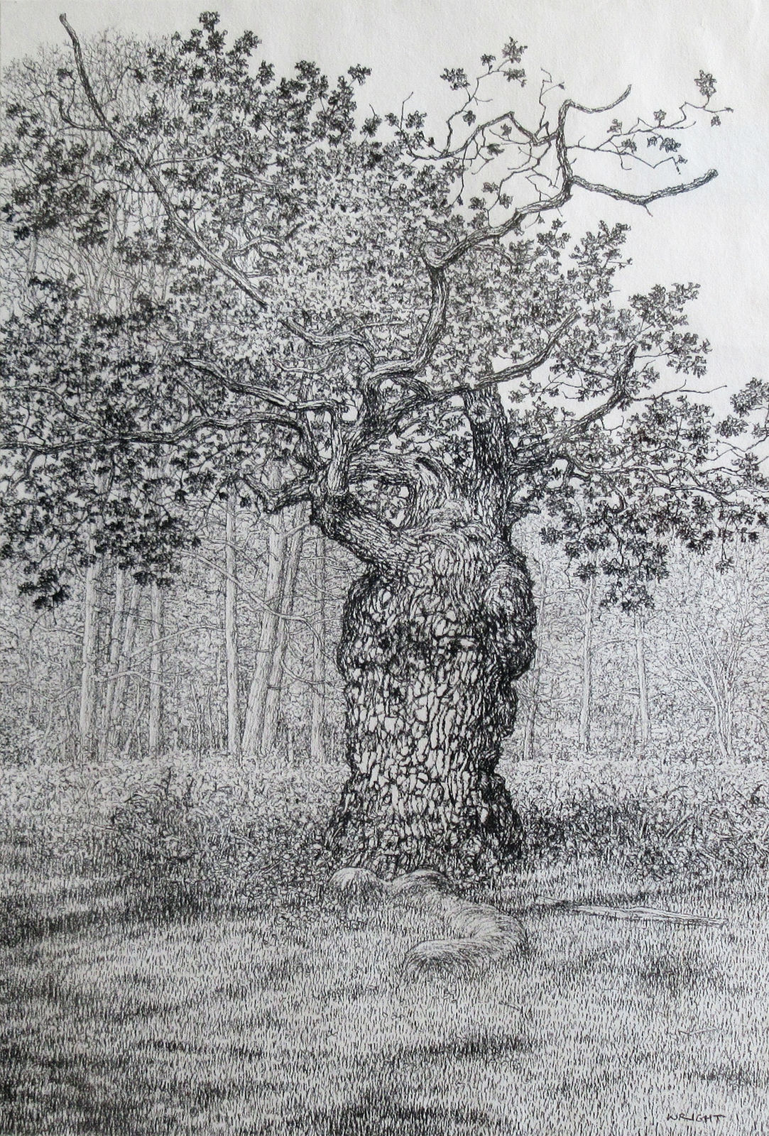 Roy Wright PS, Spring Arrives