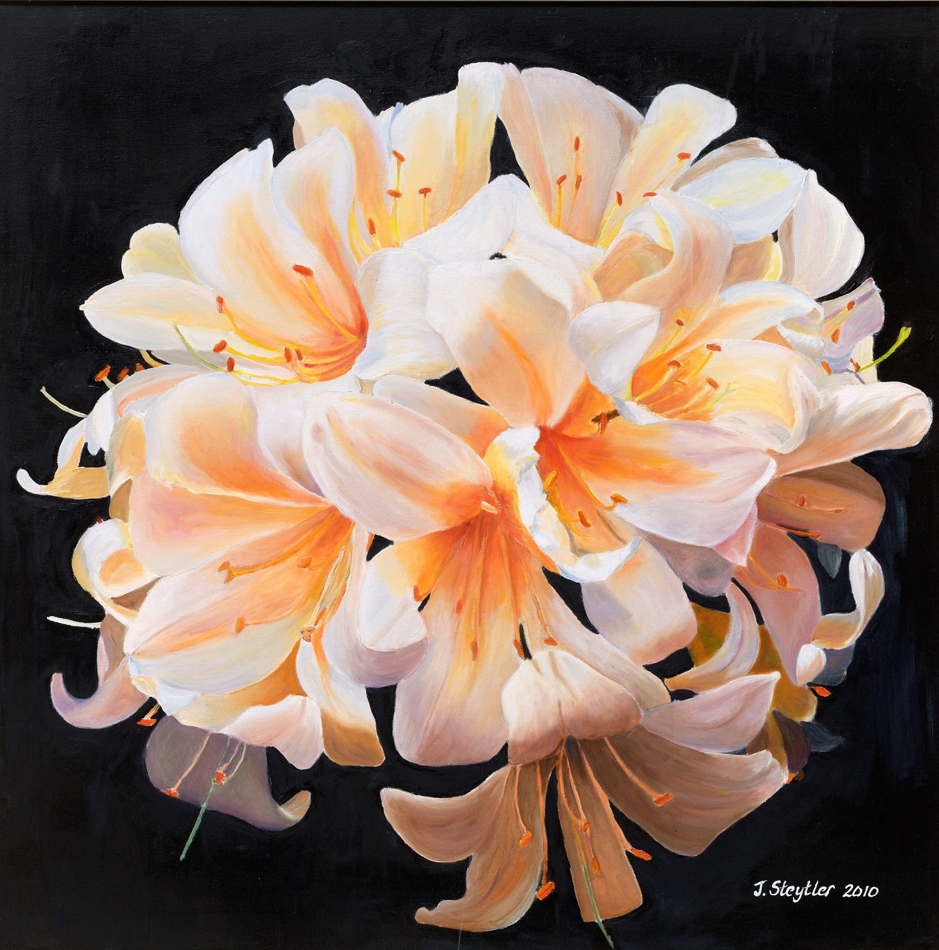 John Steytler, Lillies