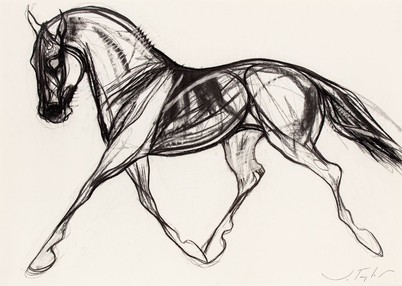 Jo Taylor, Floating Horse