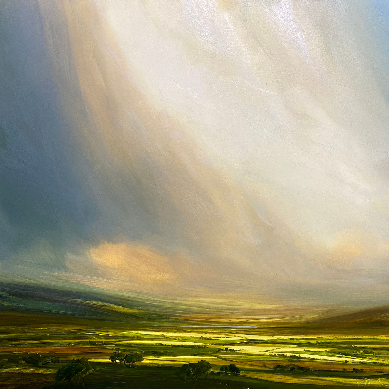 Harry Brioche, Sliding Skies