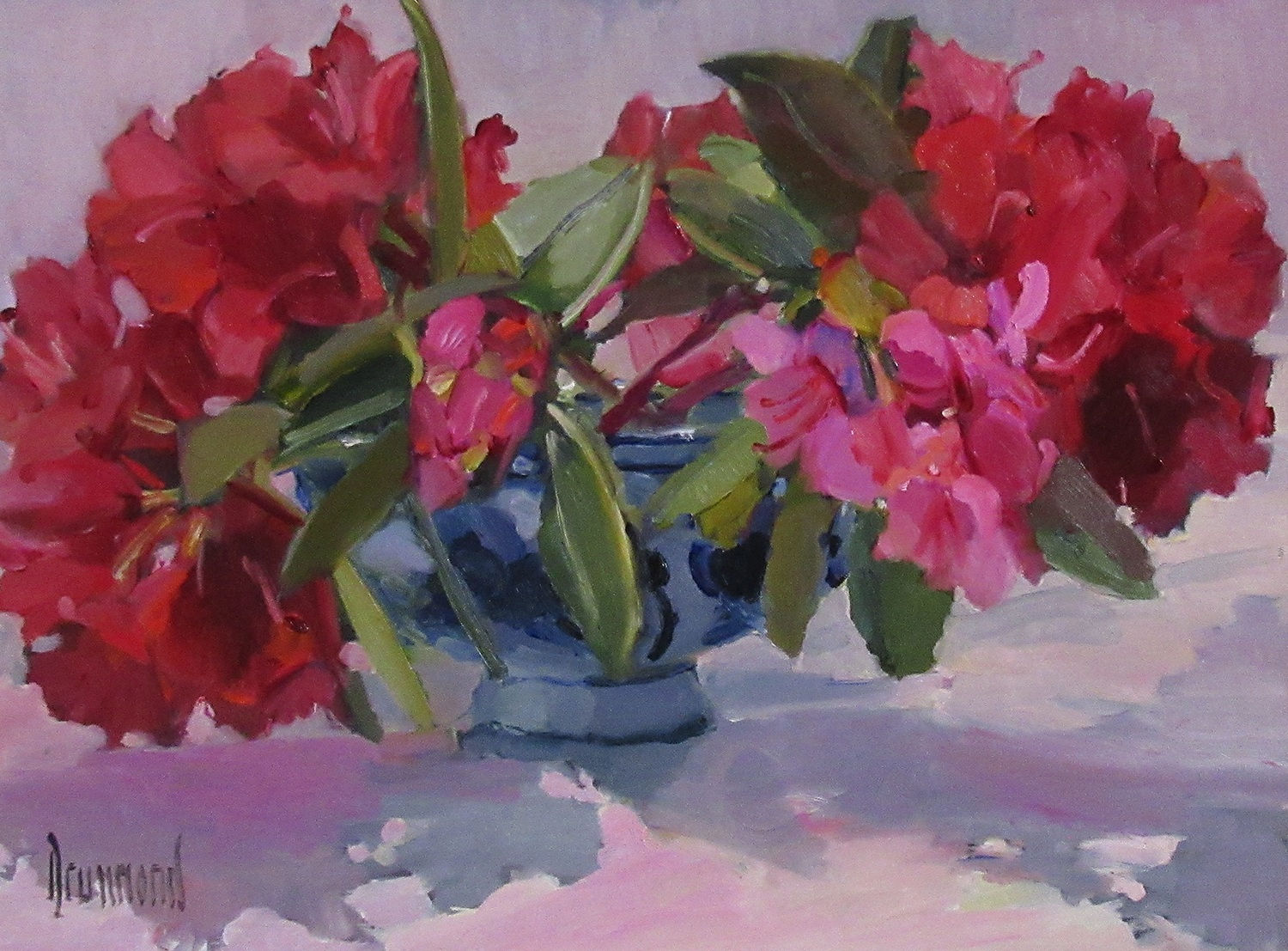 Marion Drummond PAI, Blousy Red Rhoddies