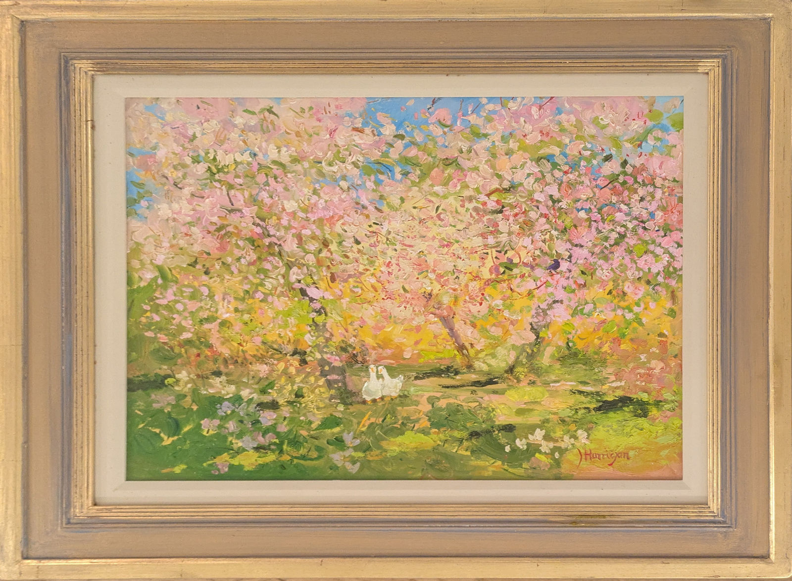 James Harrigan, Cherry Blossom