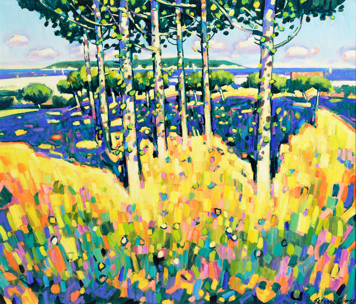 Terence Clarke, Blue Shadows, Friesland