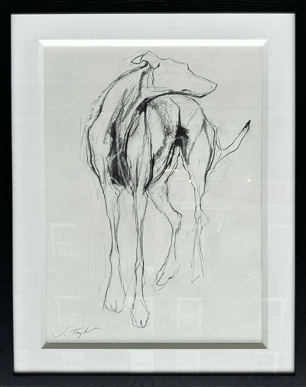 Jo Taylor, Hound of Love