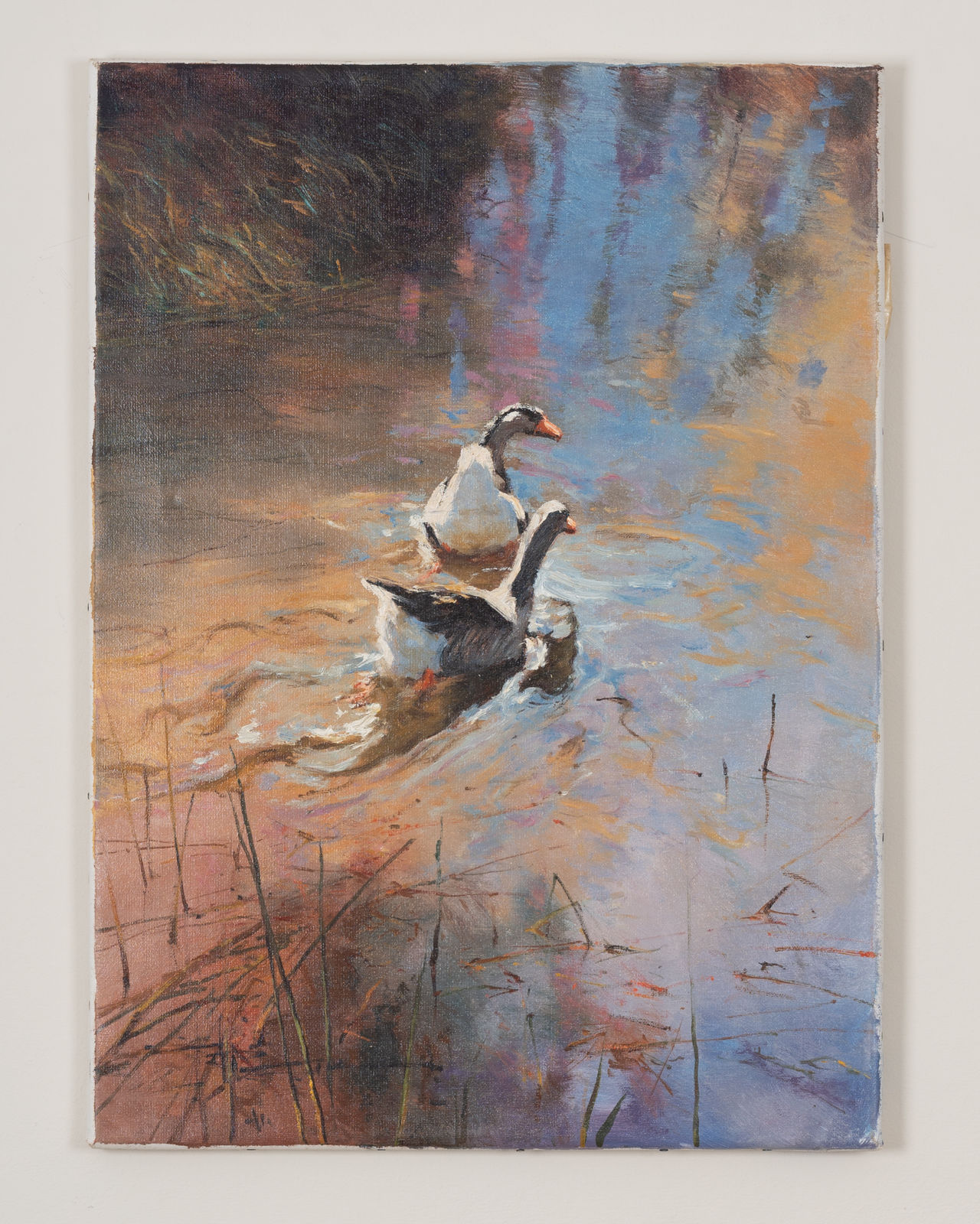 Robert Hagan, Geese