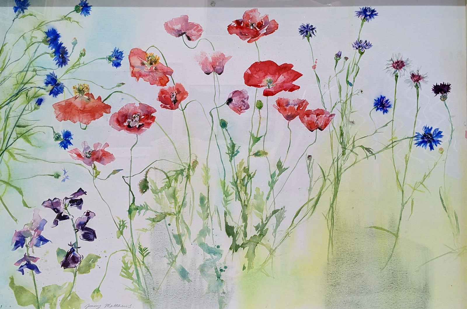 Jenny Matthews RSW, July with Poppies