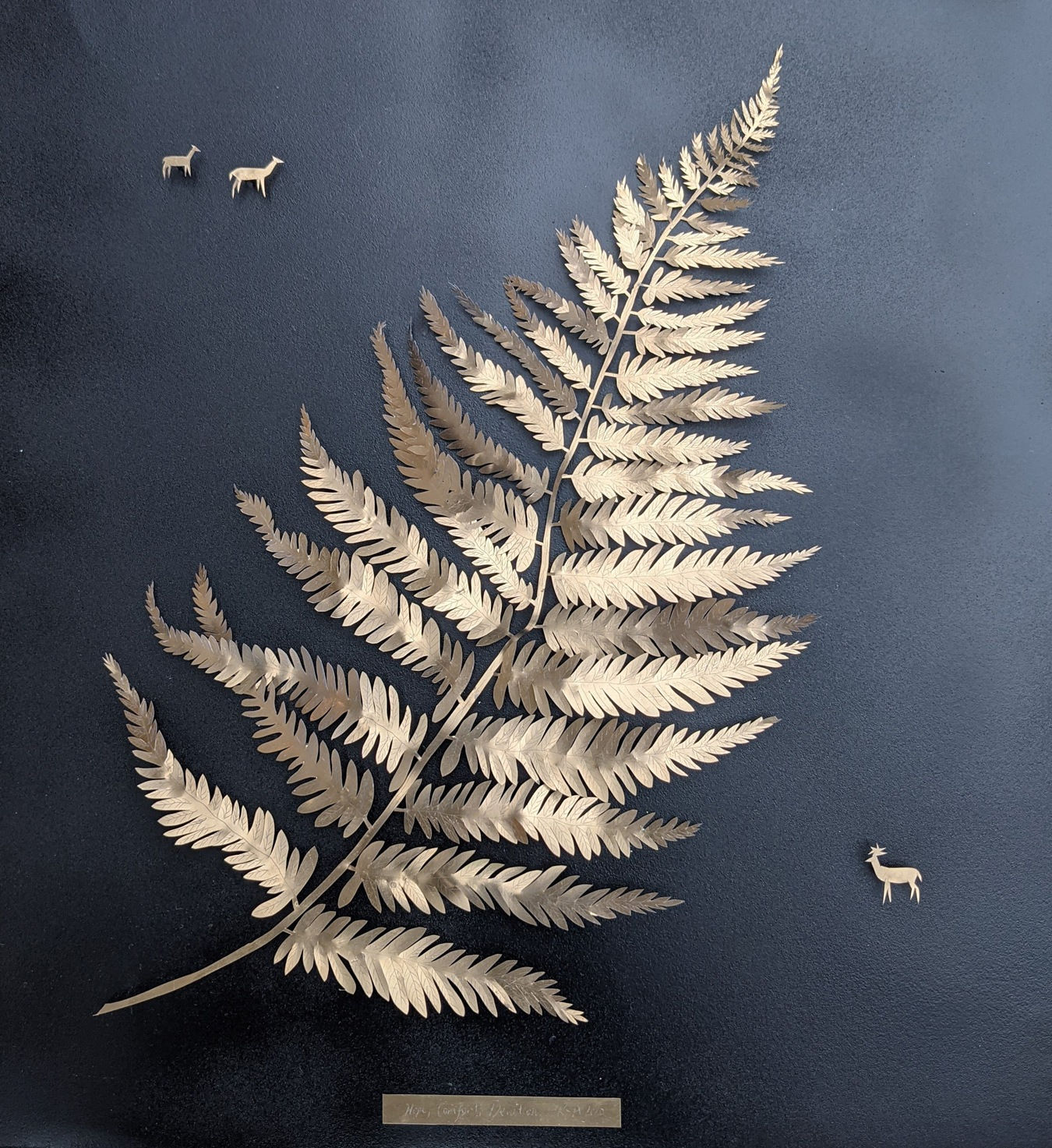 Rachel Shaw Ashton, Hope, Comfort, Devotion