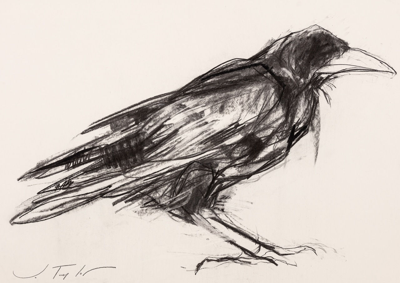 Jo Taylor, Crow