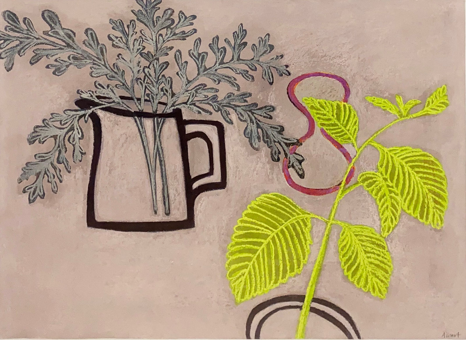 Angela A'Court PS, Indian Borage