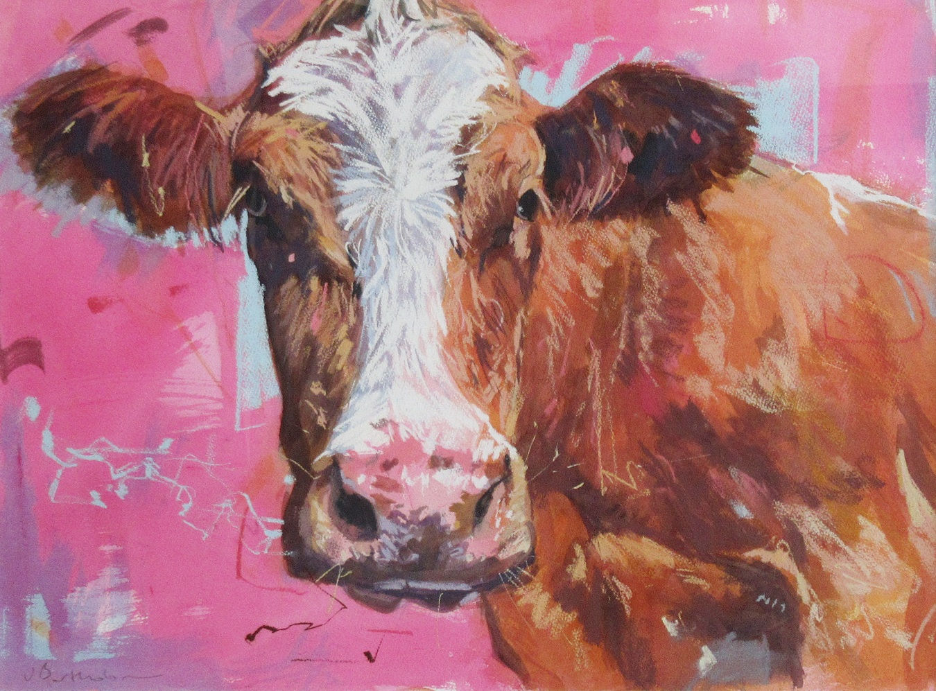 James Bartholomew, Cartmel Cow on Pink