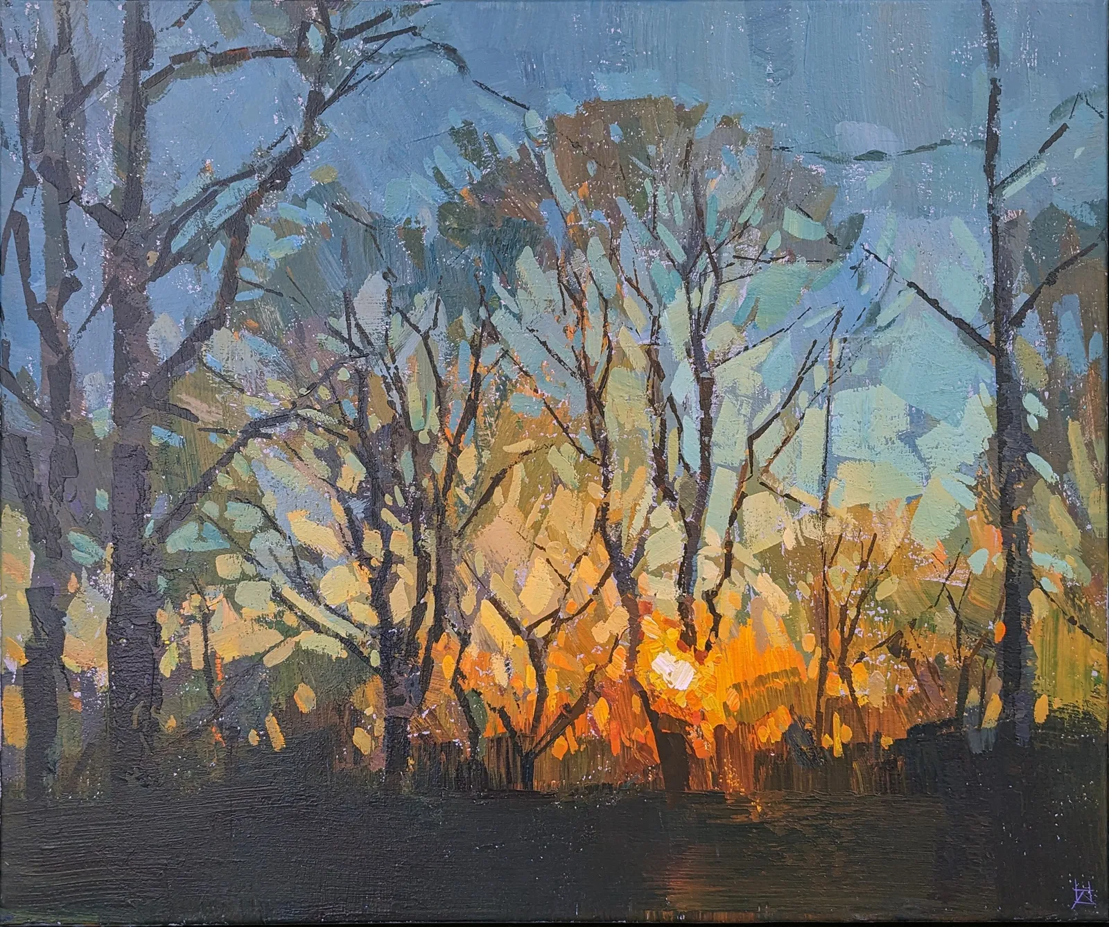 Hashim Akib, Winter Sunset