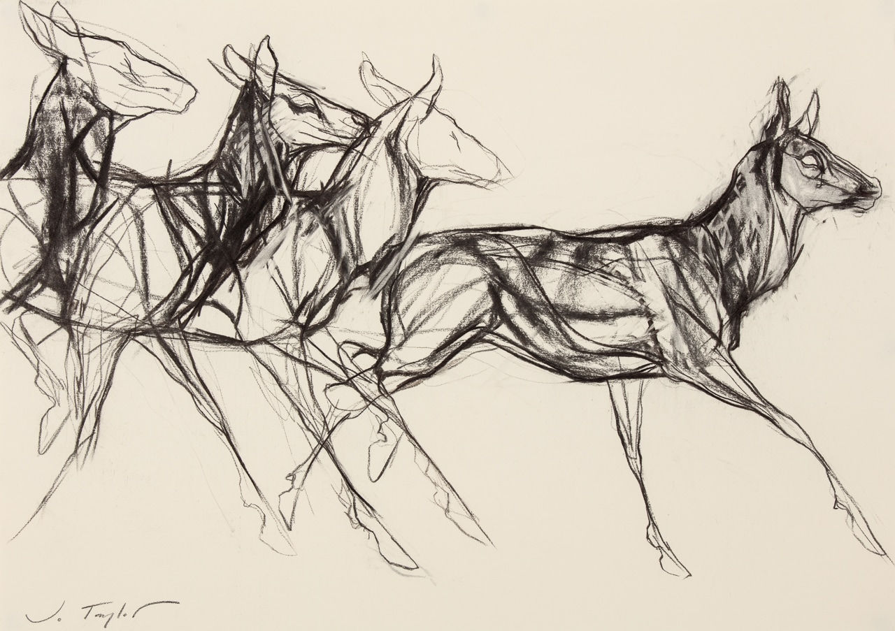 Jo Taylor, Wild Things