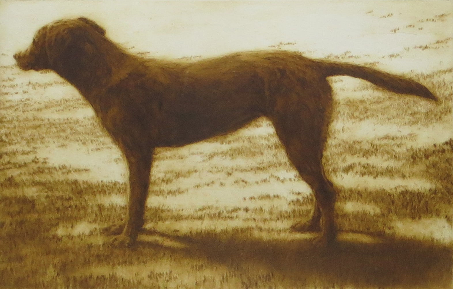 Helen Fay, Eddie in the Sunshine, 2021