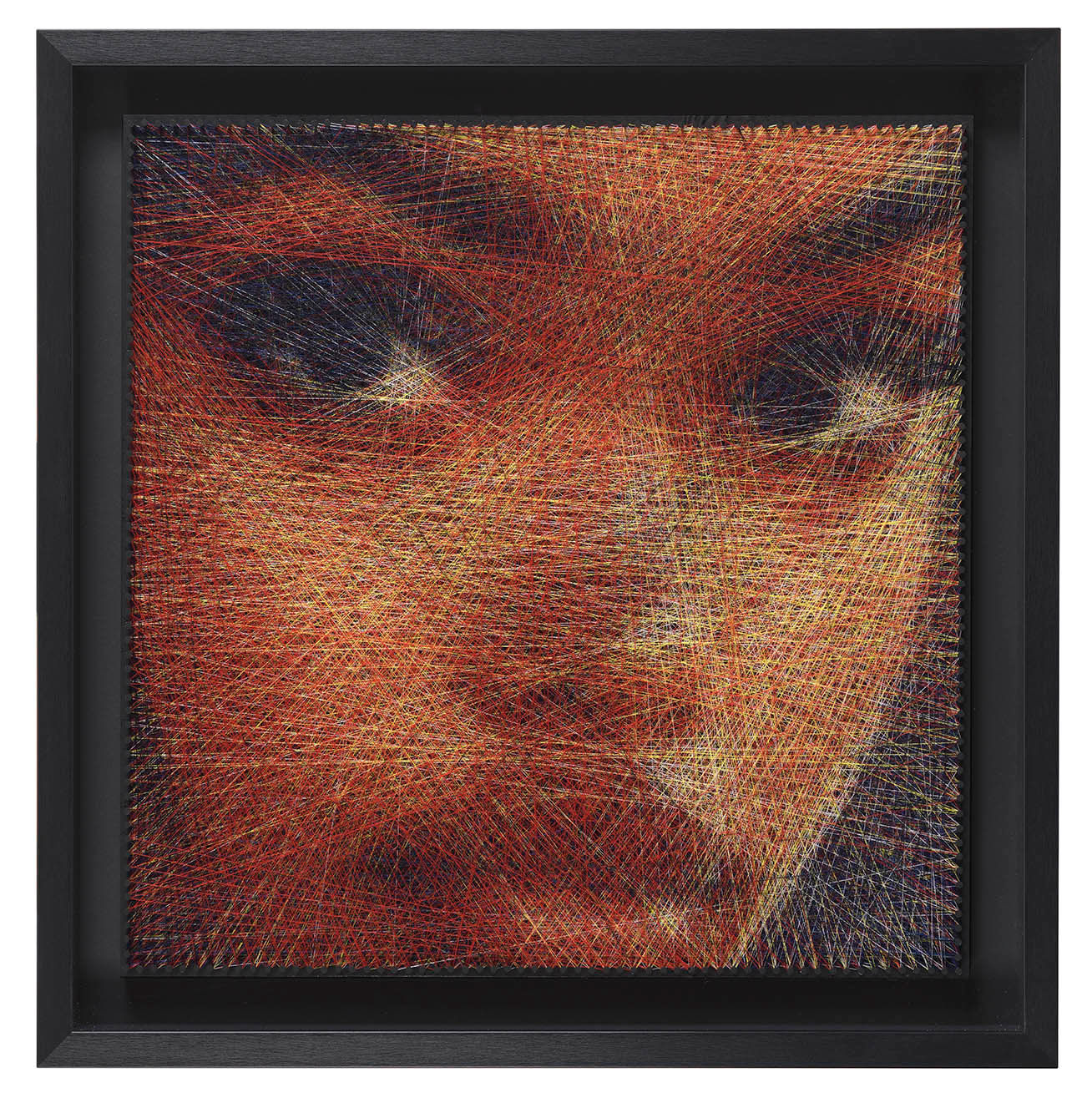 Leandro Solomons, Unique