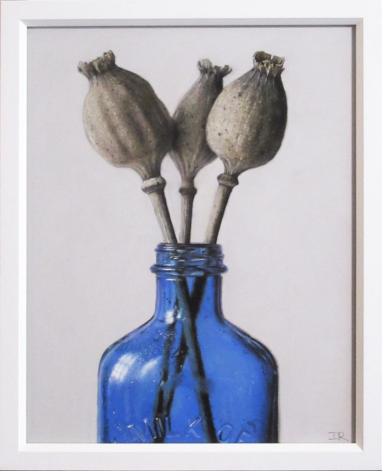 Ian Rawling PS, Poppy Pods