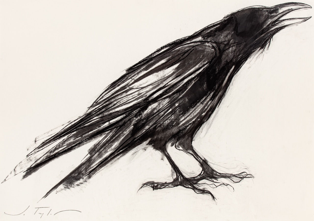 Jo Taylor, Crow