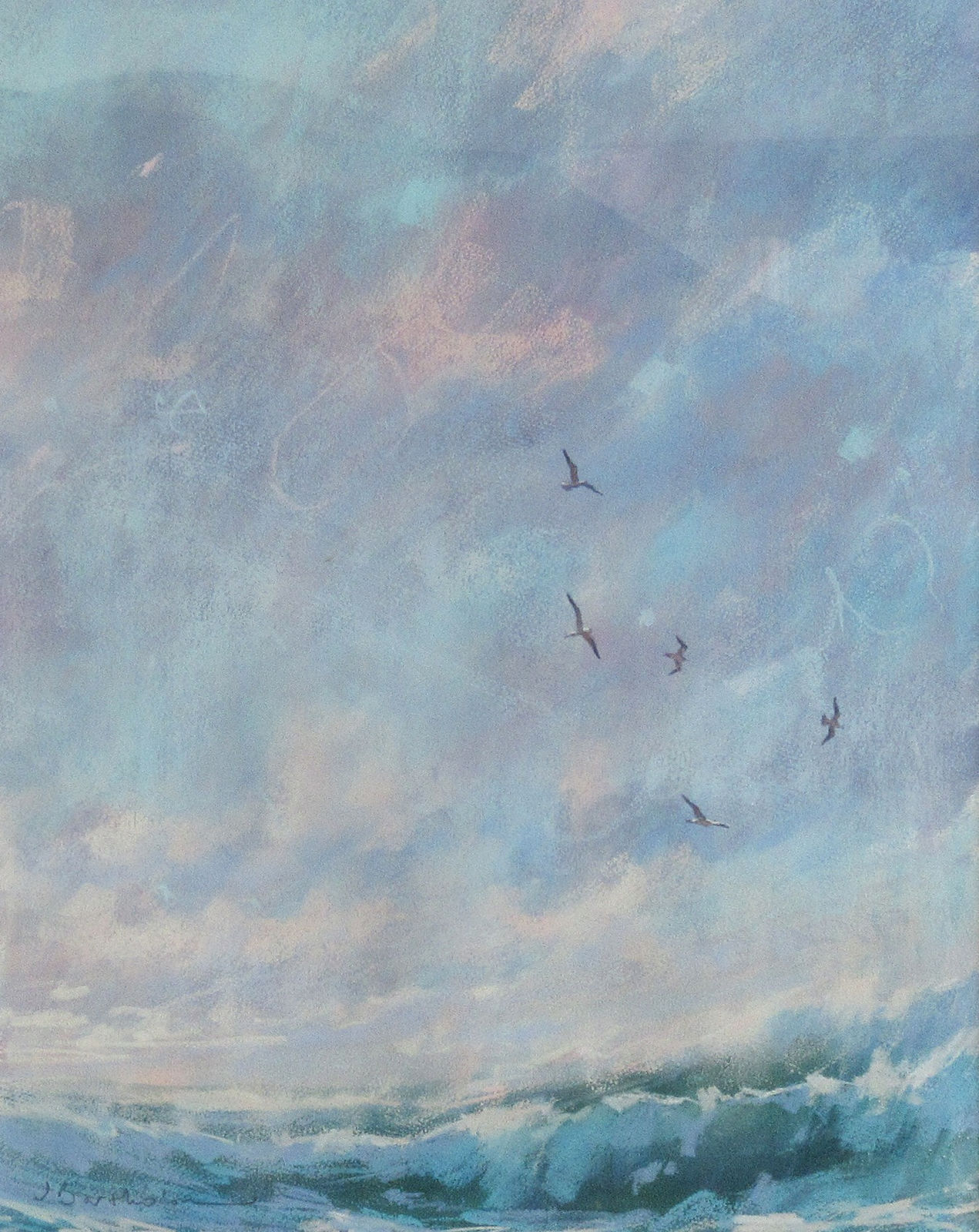 James Bartholomew, Gulls and Rollers