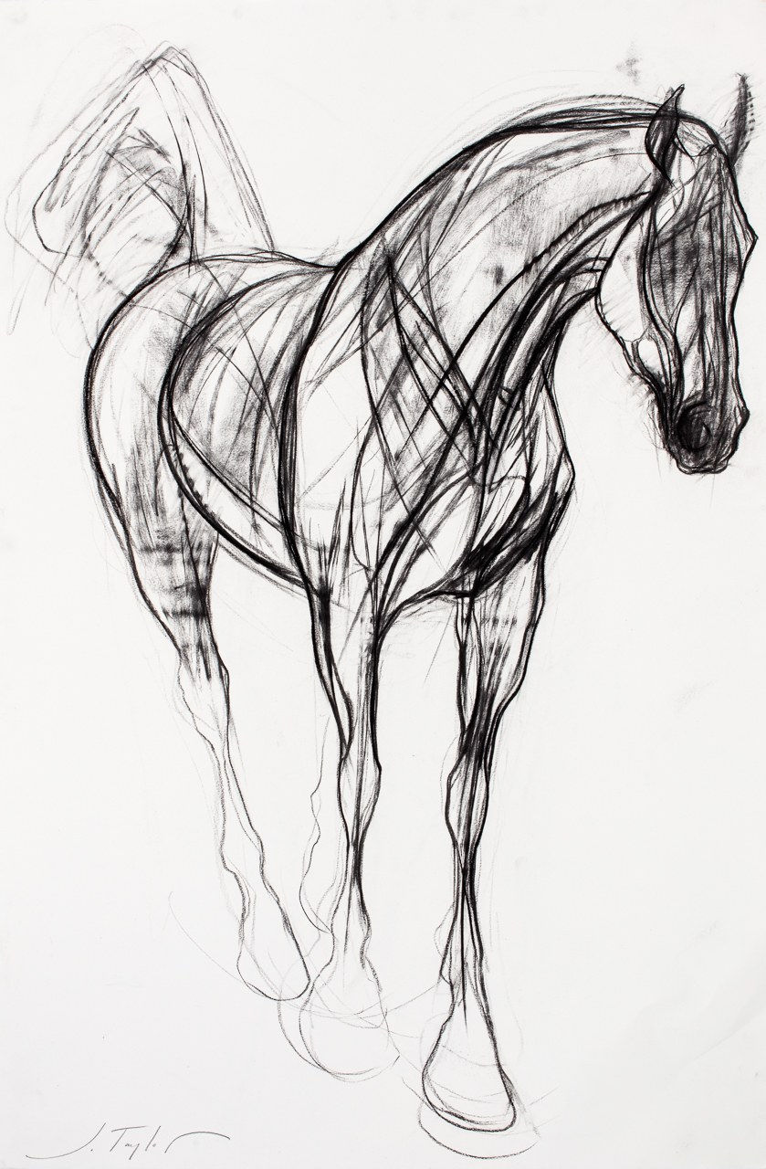 Jo Taylor, The Soul Thief