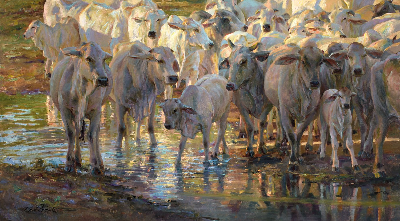 René Snyman, Cattle Crossing the River