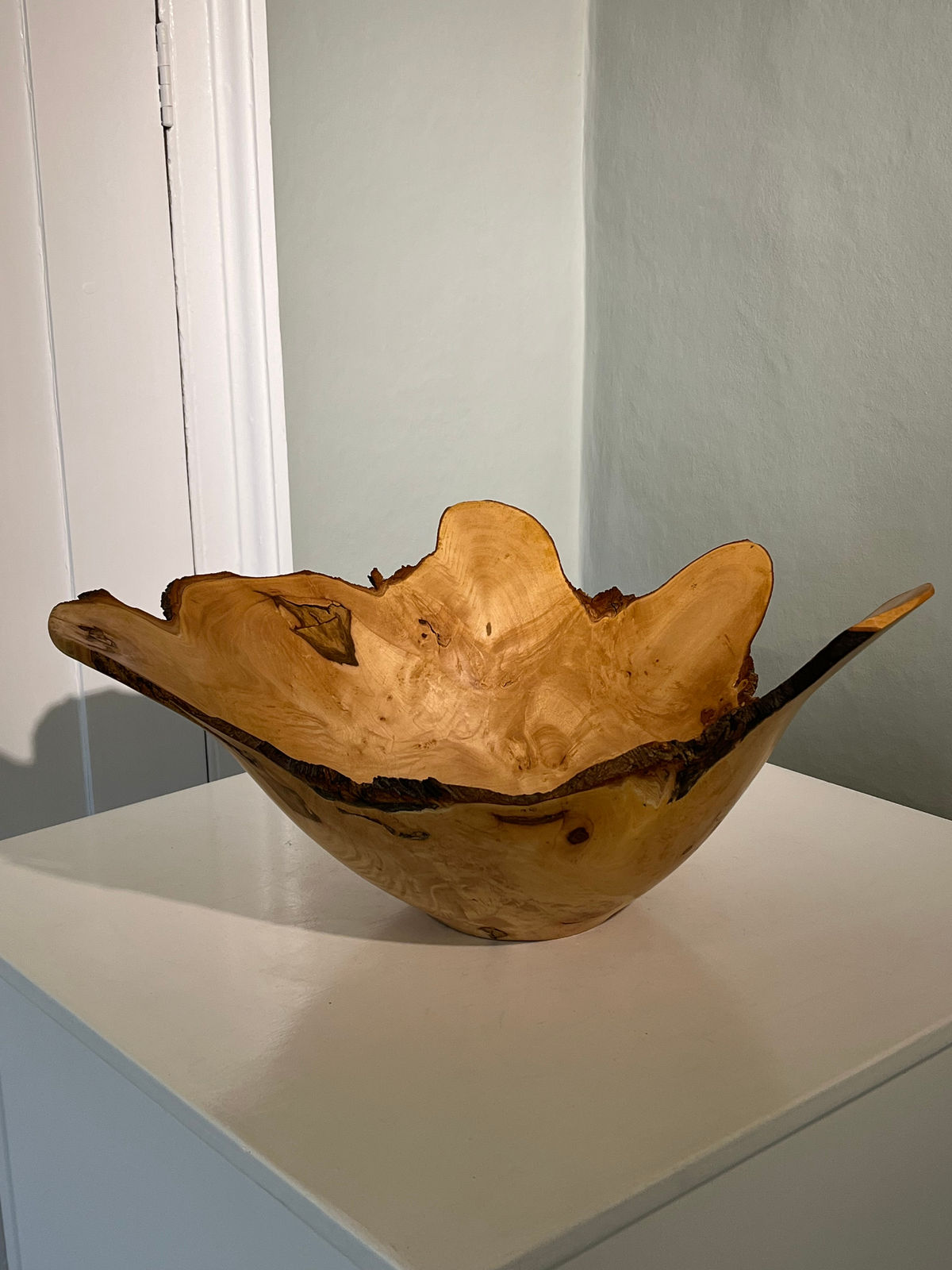 Richard Chapman, Pollard Sycamore, Natural Edge