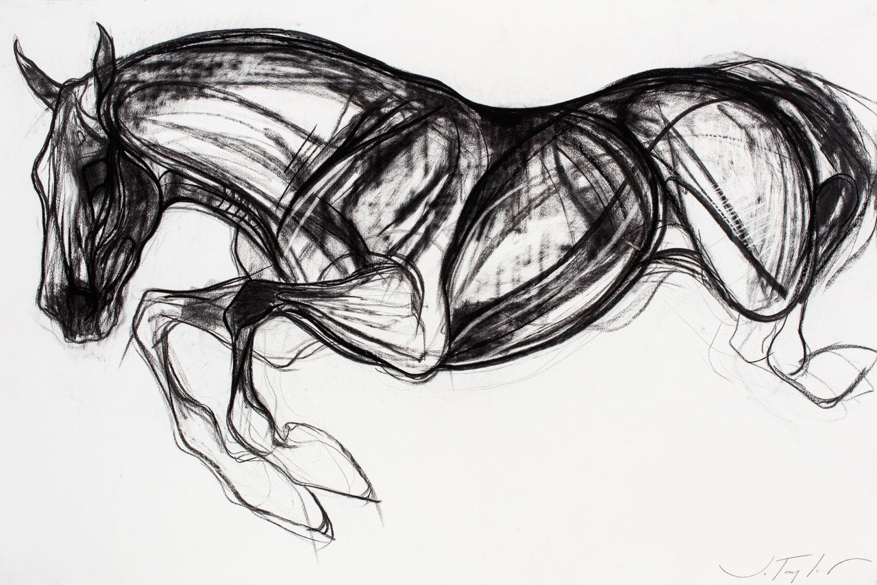 Jo Taylor, Winged Horse