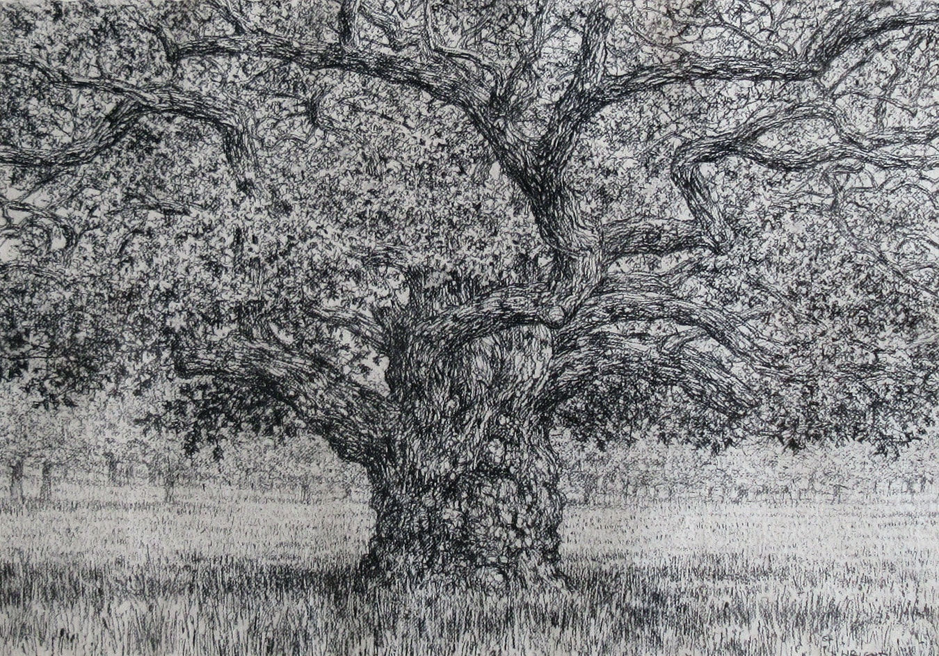 Roy Wright PS, Beneath the Summer Oak 2021