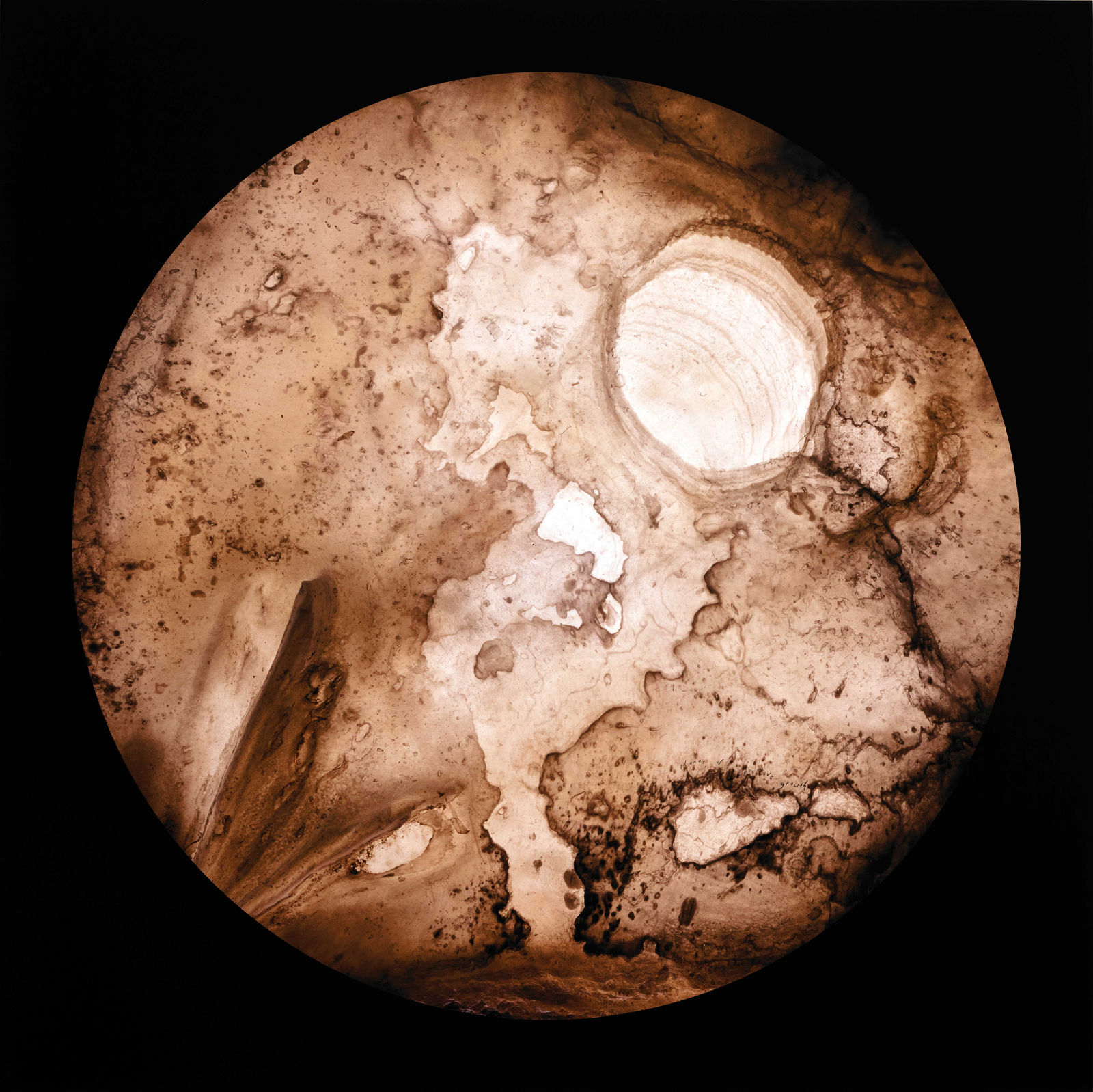 蔡佳葳, 正向成長 I/III, 2016