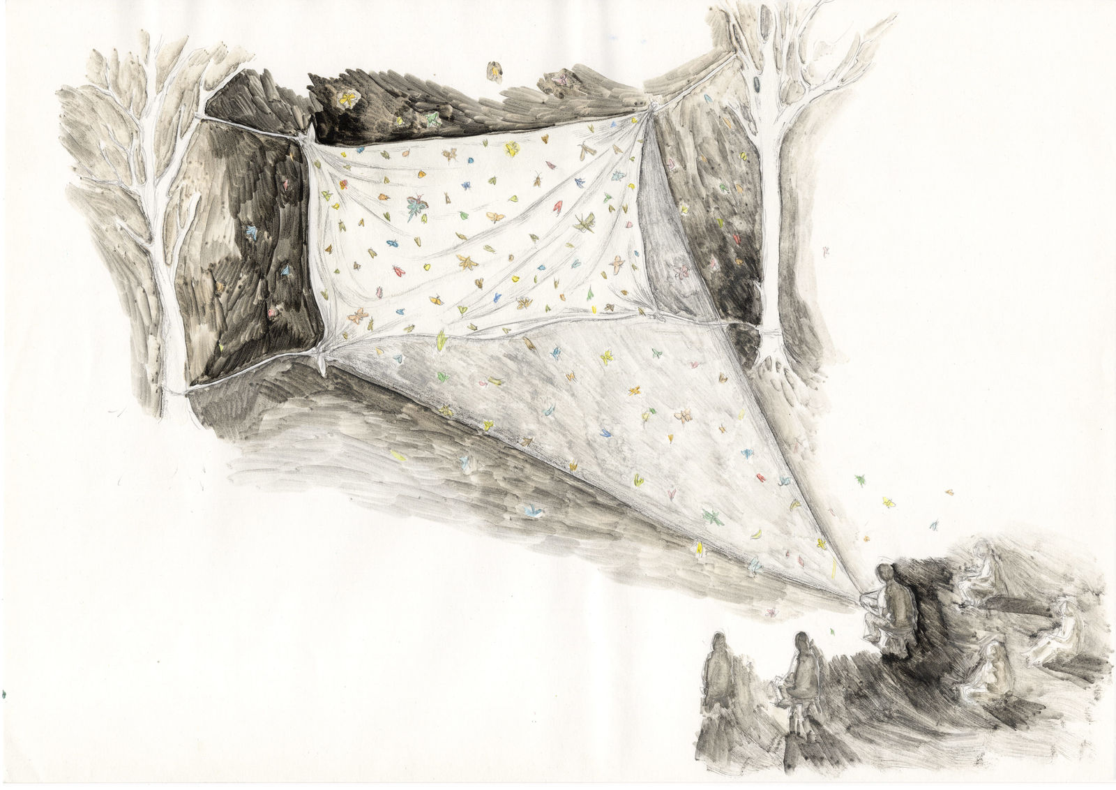 蘇育賢 So Yo Hen, 螢 firefly, 2024