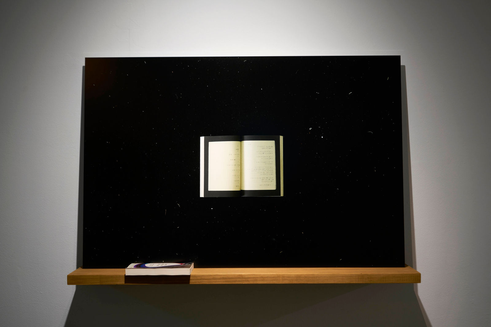 王雅慧 Wang Yahui, 一首詩 A Poem, 2020