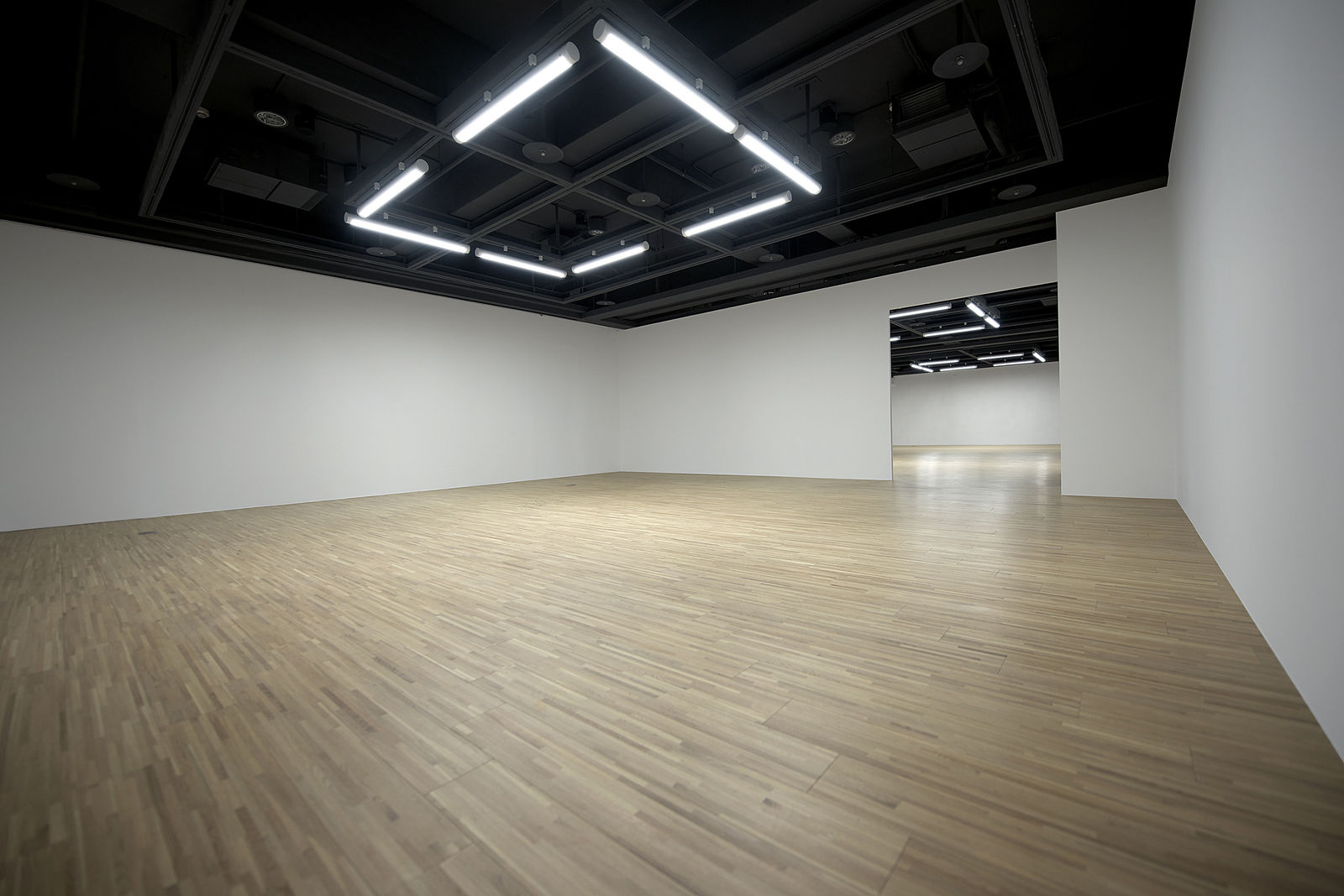 周育正, 東亞照明 TOA Lighting ®, 2010