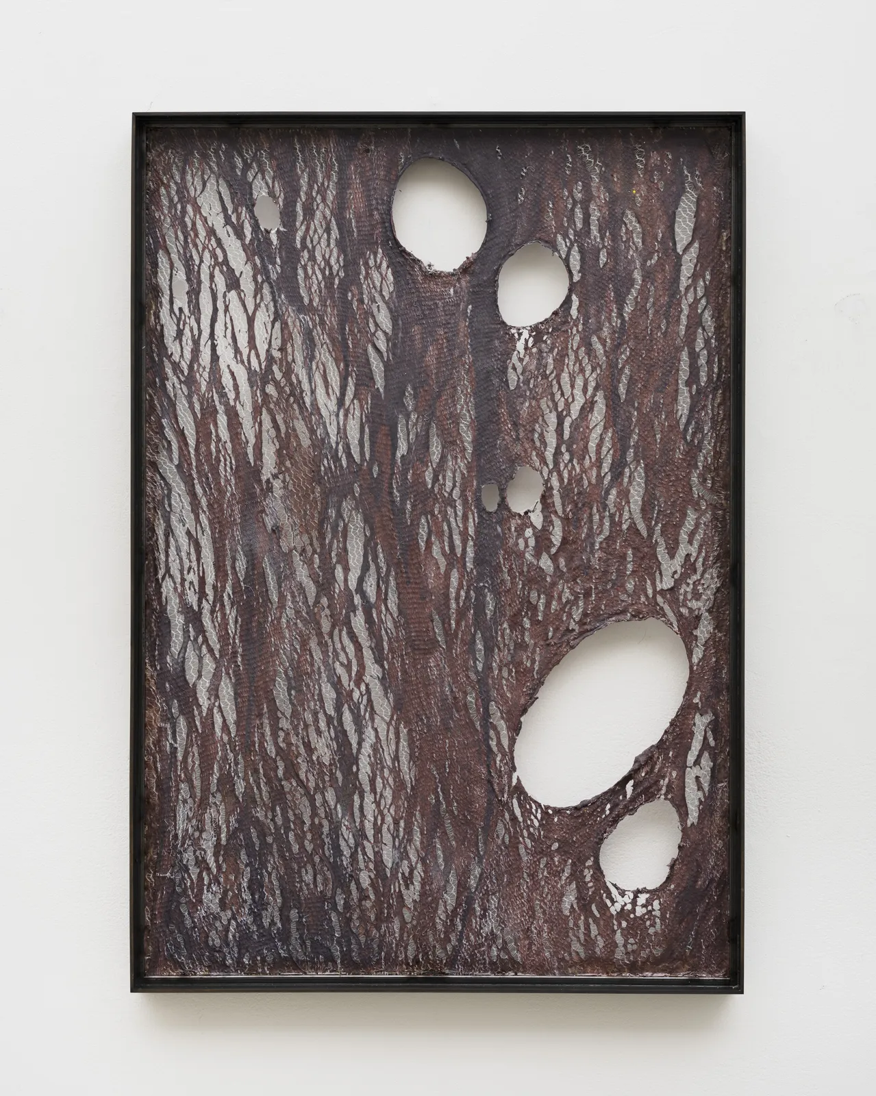 Mire Lee (b. 1988), Untitled #7 (framed flat skin pieces from Open Wound)