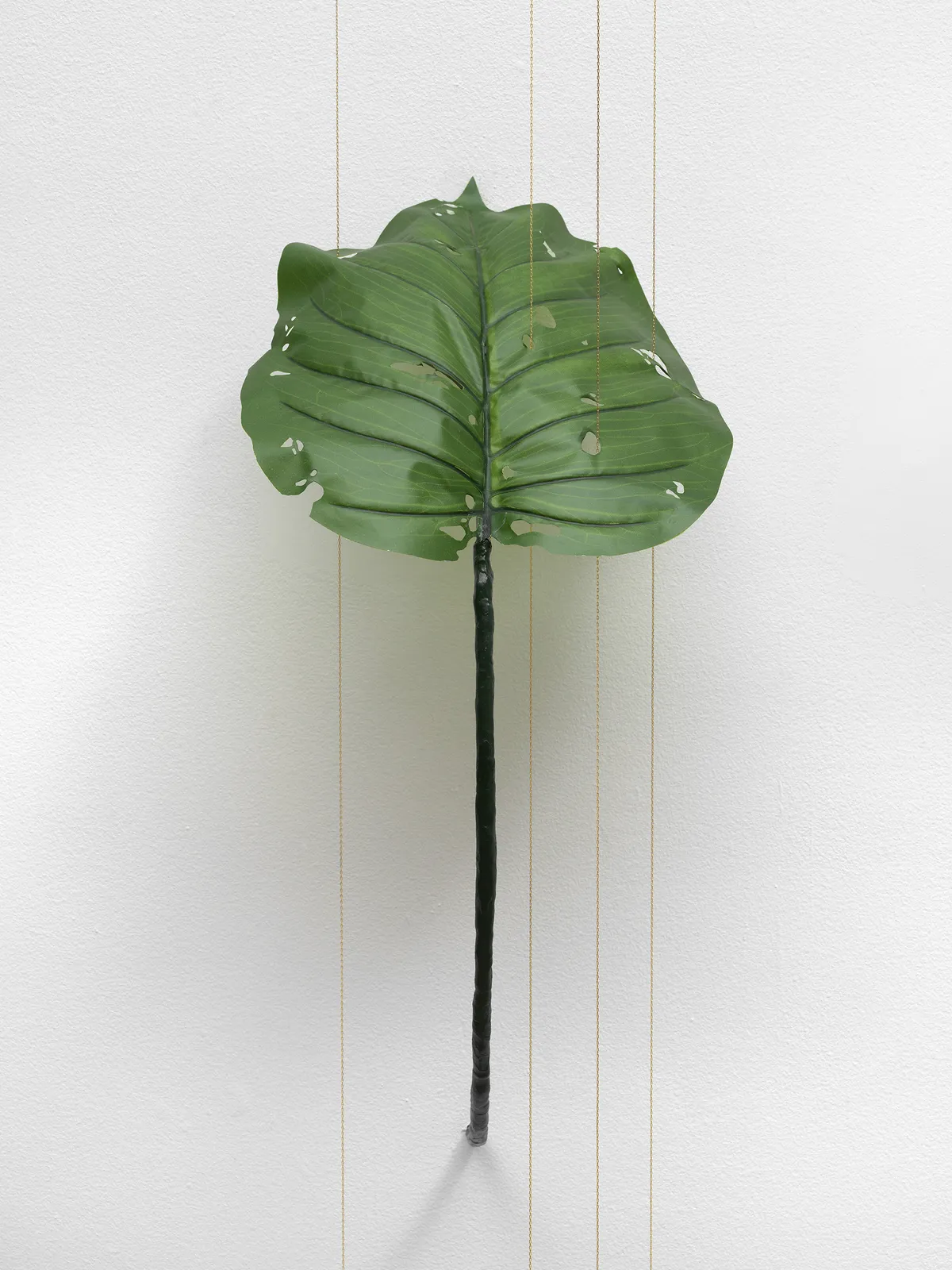 Tania Pérez Córdova (b. 1979), Alocasia Odora (40% chance of rain), 2022