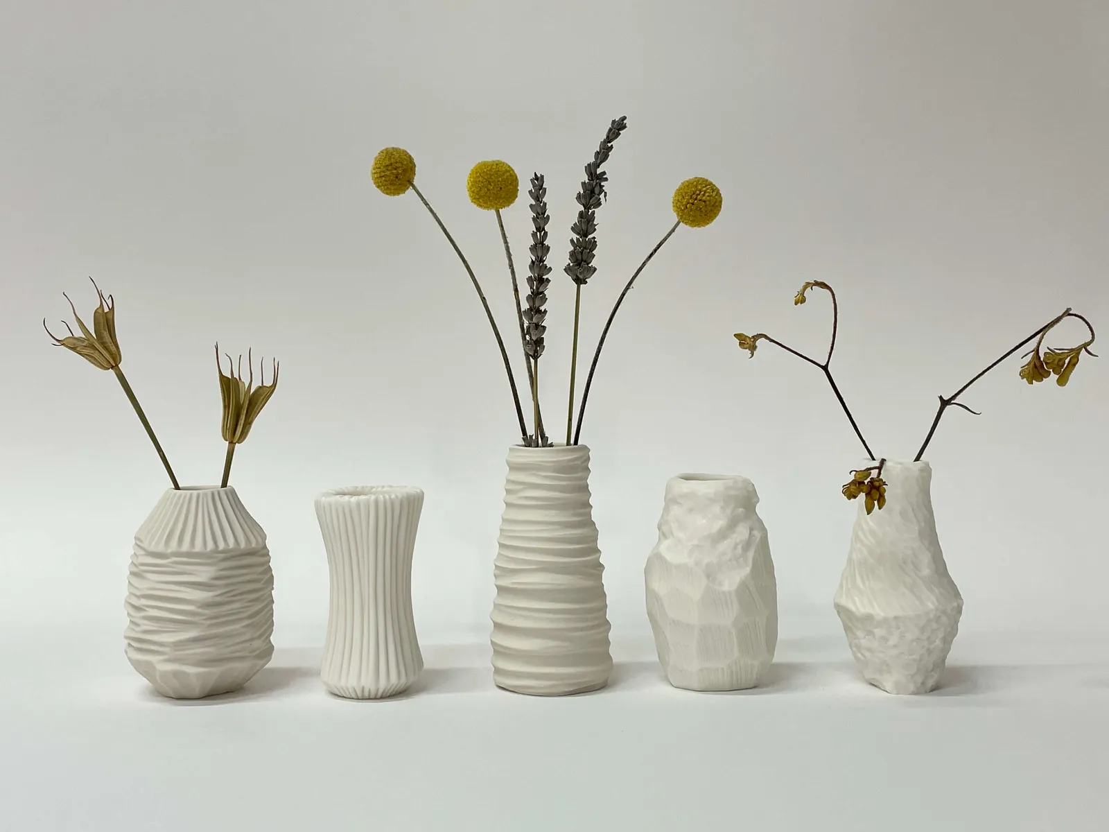 Vezzini & Chen, Natural Patterns, 2021