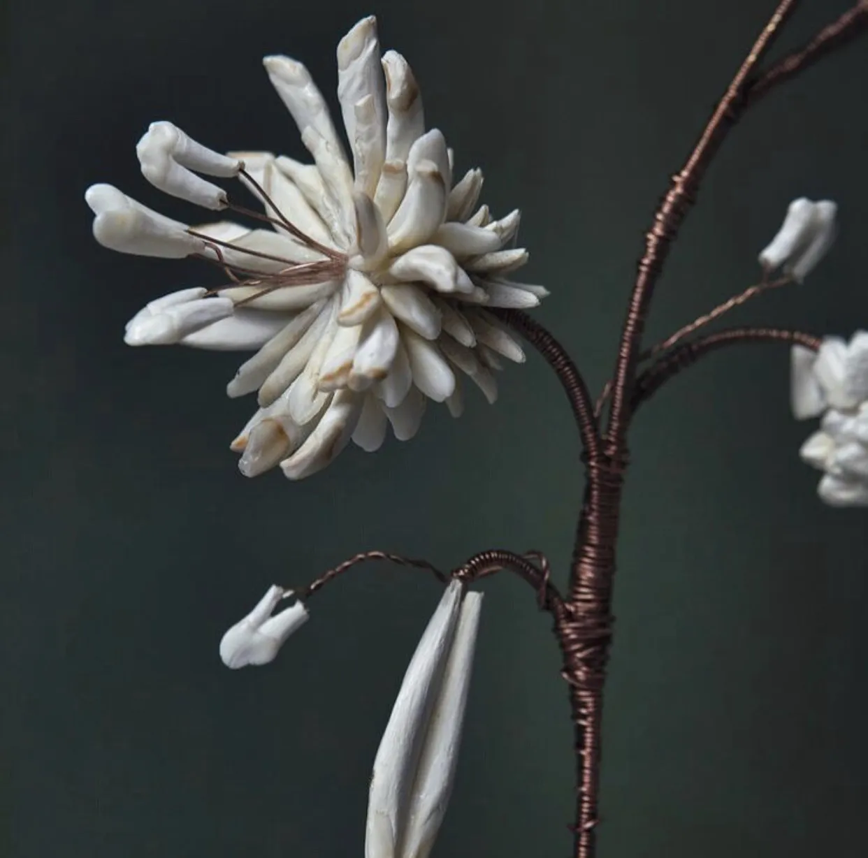 Emma Witter, Stem, 2019