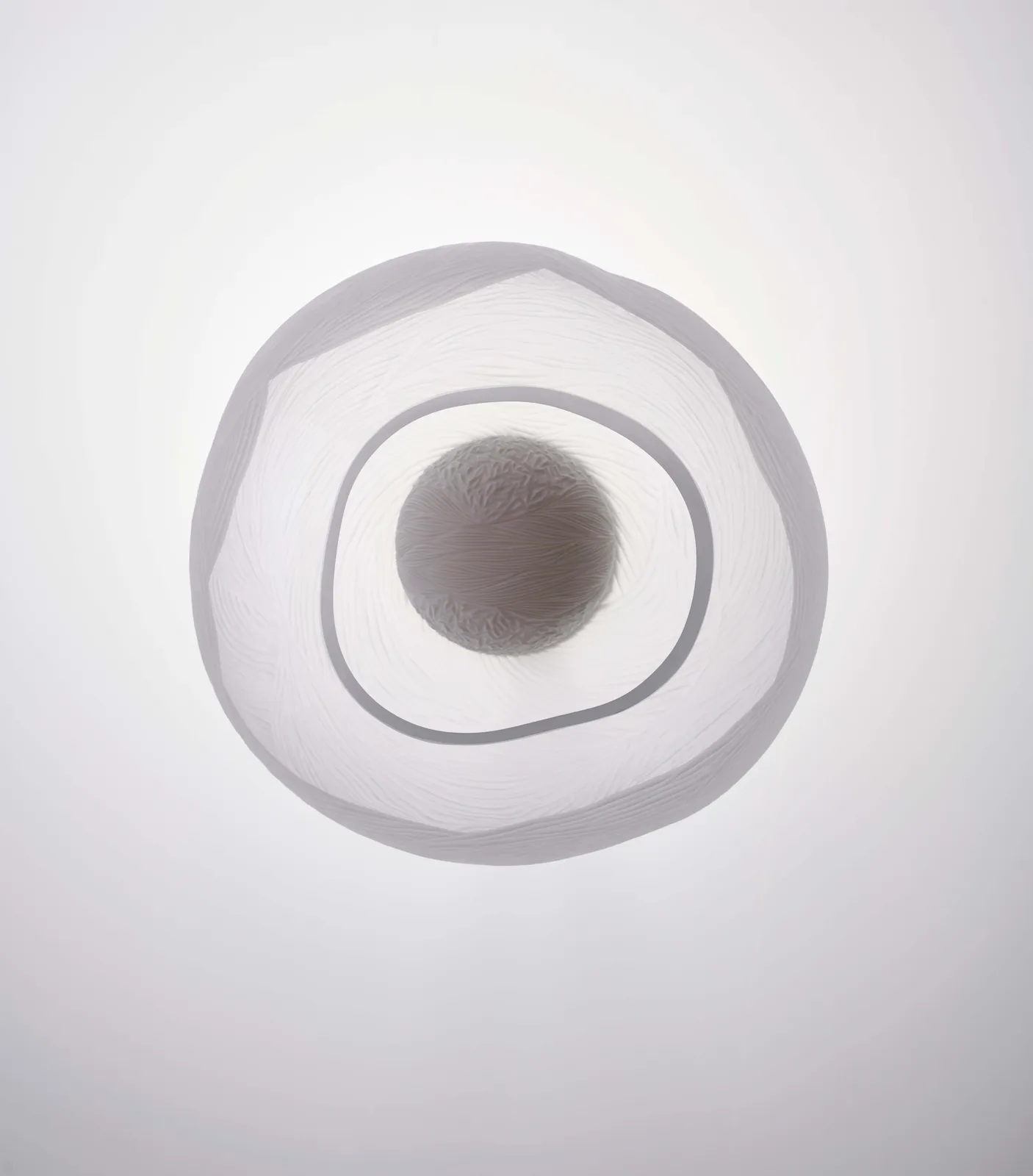 Vezzini & Chen, Camelia, 2022