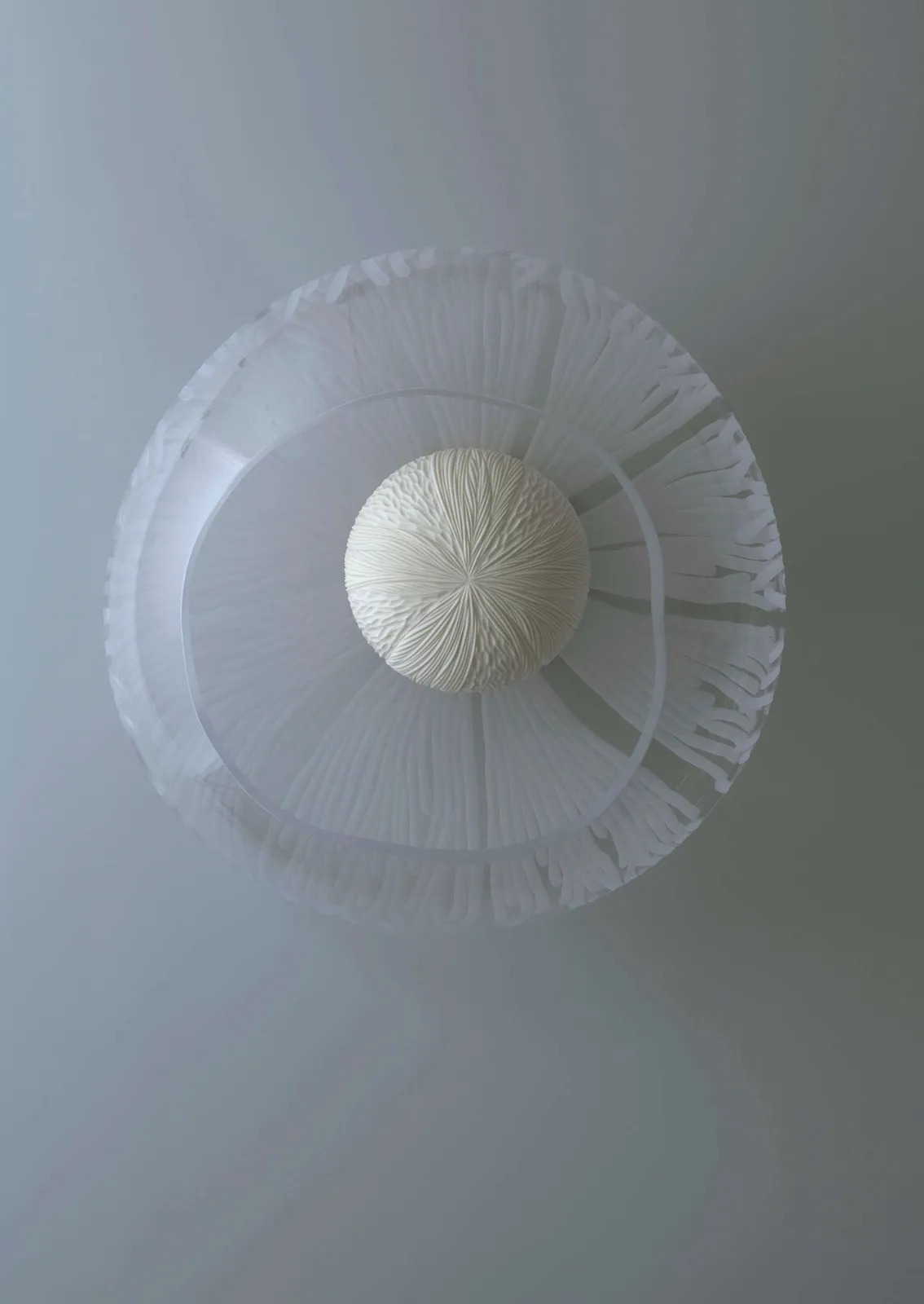 Vezzini & Chen, Magnolia, 2022